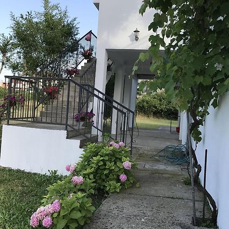 Apartmani Dragana Херцег-Новий Екстер'єр фото