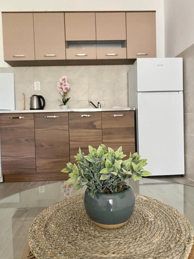 Apartmani Dragana Херцег-Новий Екстер'єр фото