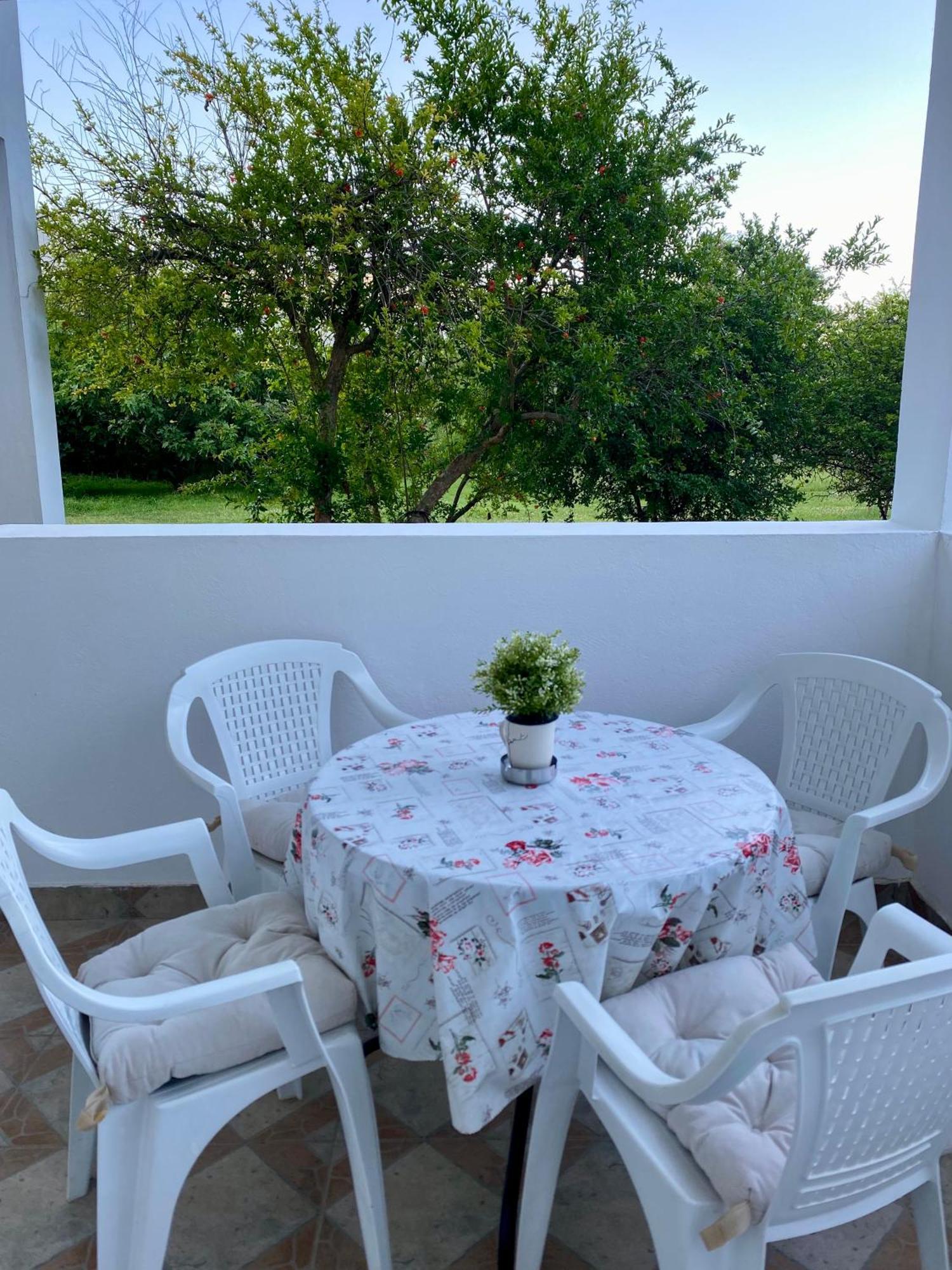 Apartmani Dragana Херцег-Новий Екстер'єр фото